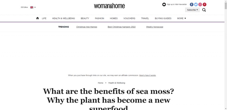What-are-the-benefits-of-sea-moss-It-s-the-new-superfood
